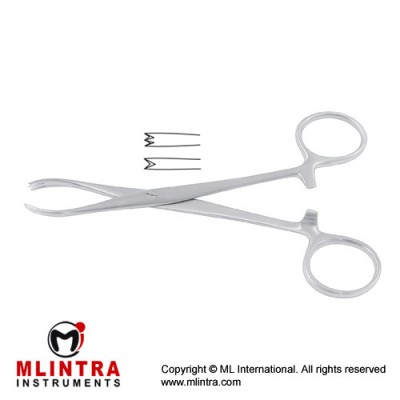 Chaput Haemostatic Forcep 2 x 3 Teeth Stainless Steel, 12.5 cm - 5"